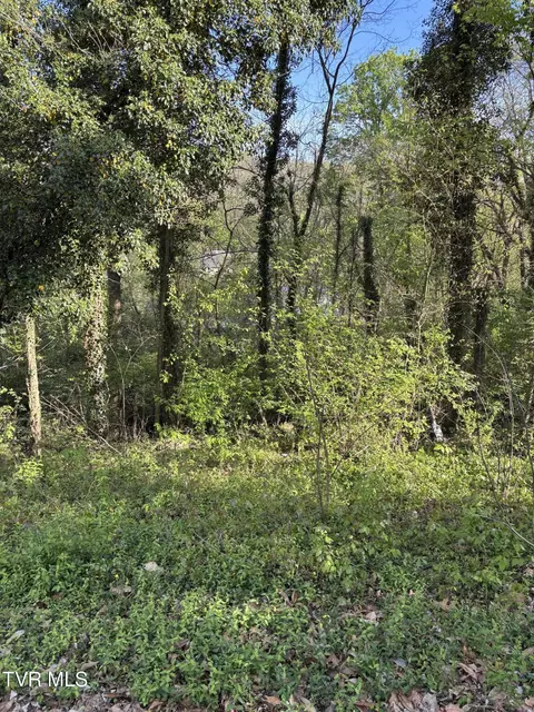 lot15 Ashley Street Kingsport Tn 37664, Kingsport, TN 37664