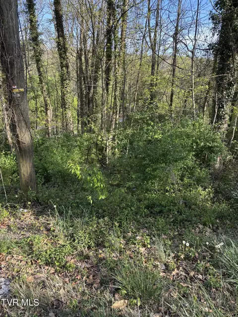 lot16 Ashley Street Kingsport Tn 37664, Kingsport, TN 37664