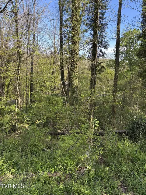 lot17 Ashley Street Kingsport Tn 37664, Kingsport, TN 37664
