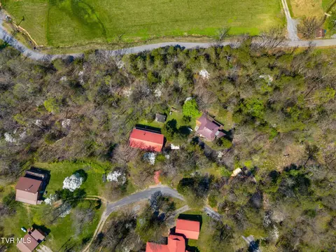 158 Dalson Road Eidson Tn 37731, Eidson, TN 37731 photo 60