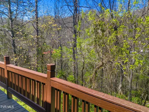 158 Dalson Road Eidson Tn 37731, Eidson, TN 37731 photo 7