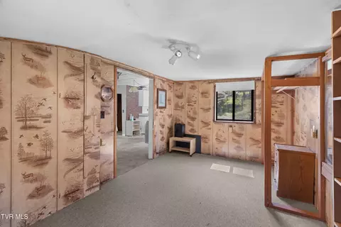 158 Dalson Road Eidson Tn 37731, Eidson, TN 37731 photo 41