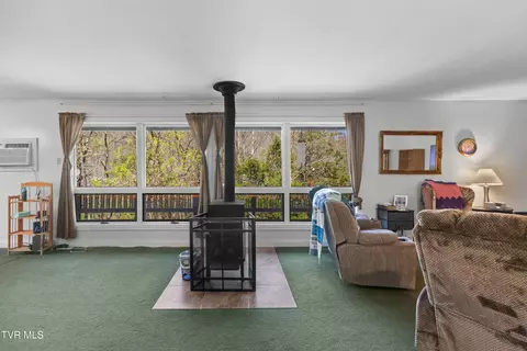 158 Dalson Road Eidson Tn 37731, Eidson, TN 37731 photo 9