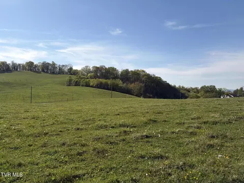 lot3 R Ward Rowe Rd Road Limestone Tn 37681, Limestone, TN 37681