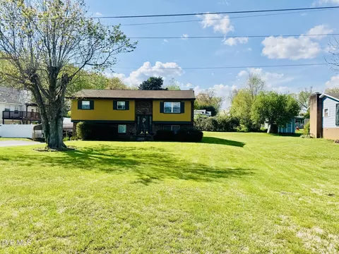 1303 E 10th Avenue Johnson City Tn 37601, Johnson City, TN 37601 photo 2