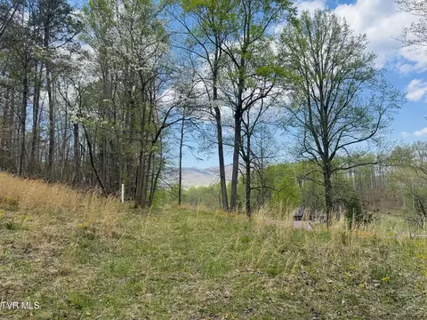 160 Bob S Hollow Road Elizabethton Tn 37643, Elizabethton, TN 37643