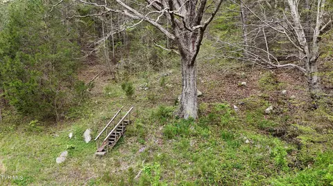 Tract 1 Grassy Creek Road, Rogersville, TN 37857