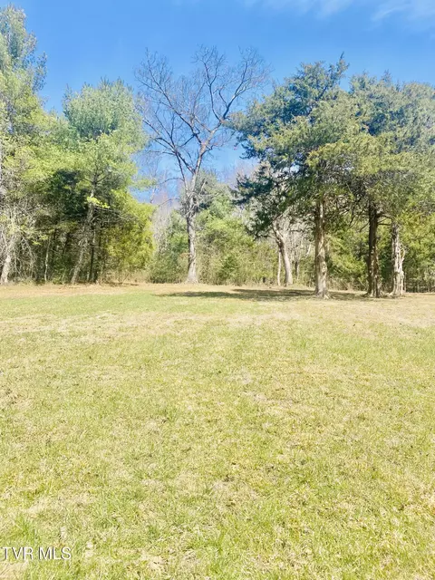 lot Vineyard Valley Drive Butler Tn 37640, Butler, TN 37640