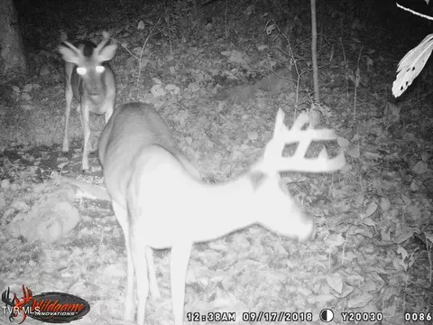 Other - 17532 Phillips Road Bristol Va 24202, Bristol, VA 24202 photo 2 of 8
