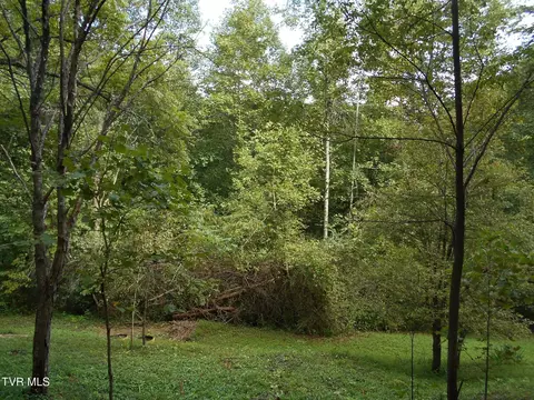 Exterior - 17532 Phillips Road Bristol Va 24202, Bristol, VA 24202 photo 13 of 19