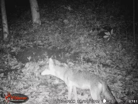 Other - 17532 Phillips Road Bristol Va 24202, Bristol, VA 24202 photo 7 of 8