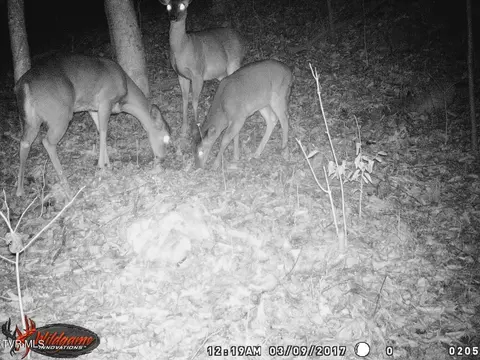 Other - 17532 Phillips Road Bristol Va 24202, Bristol, VA 24202 photo 6 of 8