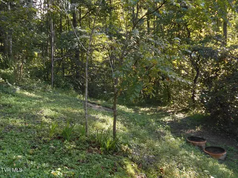 Exterior - 17532 Phillips Road Bristol Va 24202, Bristol, VA 24202 photo 7 of 19