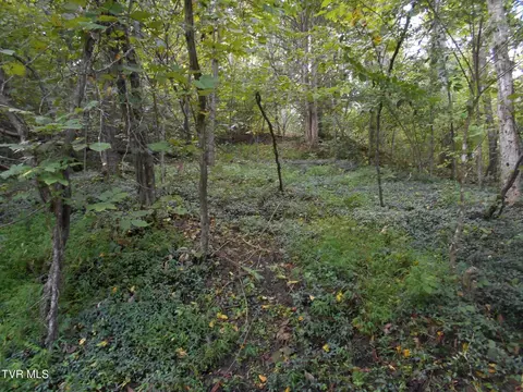Exterior - 17532 Phillips Road Bristol Va 24202, Bristol, VA 24202 photo 15 of 19