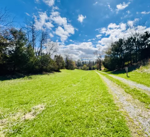 Other - 639 Saylor Hill Road Limestone Tn 37681, Limestone, TN 37681 photo 4 of 30