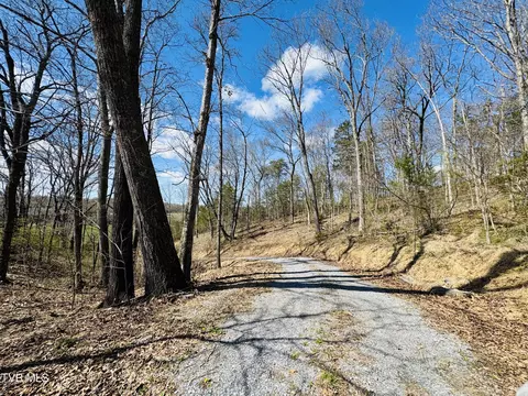 Other - 639 Saylor Hill Road Limestone Tn 37681, Limestone, TN 37681 photo 11 of 30