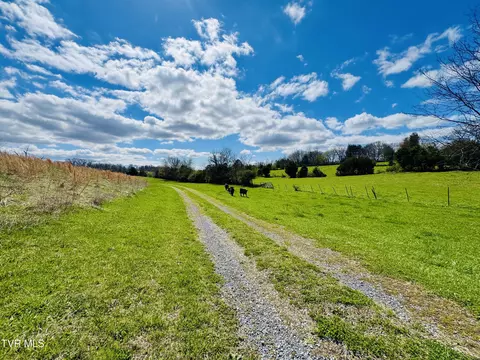 Other - 639 Saylor Hill Road Limestone Tn 37681, Limestone, TN 37681 photo 7 of 30