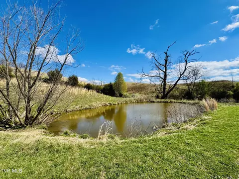 Other - 639 Saylor Hill Road Limestone Tn 37681, Limestone, TN 37681 photo 5 of 30