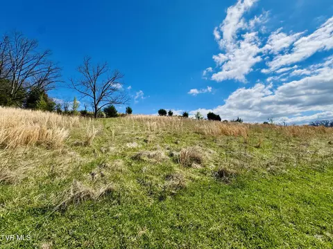 Other - 639 Saylor Hill Road Limestone Tn 37681, Limestone, TN 37681 photo 8 of 30