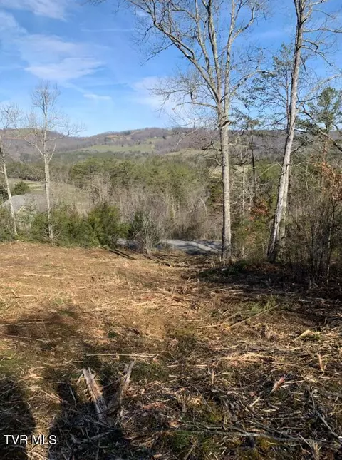 tbd Putters Peak Tazewell Tn 37879, Tazewell, TN 37879