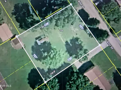 704 Ann Street Greeneville Tn 37743, Greeneville, TN 37743