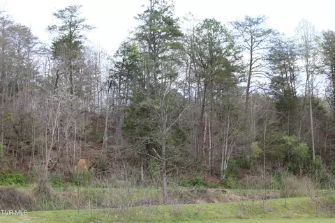 001 Reeds Creek Road Keokee Va 24265, Keokee, VA 24265