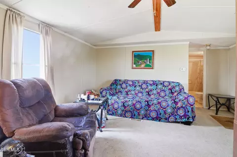 Other - 660 Mohawk Creek Road Midway Tn 37809, Midway, TN 37809 photo 6 of 11