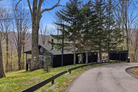 195 Log Cabin Lane Roan Mountain Tn 37687, Roan Mountain, TN 37687