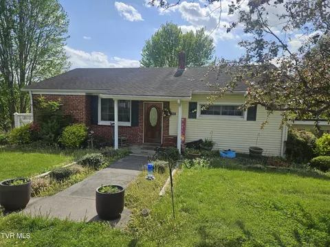 150 Tyrone Street Dungannon Va 24245, Dungannon, VA 24245
