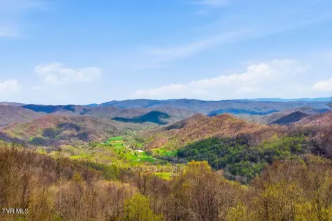 tbd Log Cabin Lane Roan Mountain Tn 37687, Roan Mountain, TN 37687
