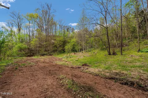 tbd Chambers Drive Elizabethton Tn 37643, Elizabethton, TN 37643