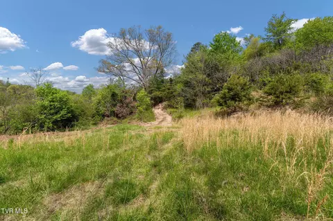 tbd Lacy Hollow Road Elizabethton Tn 37643, Elizabethton, TN 37643