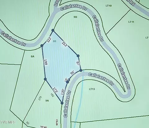 tbd Callalantee Drive Mountain City Tn 37683, Mountain City, TN 37683