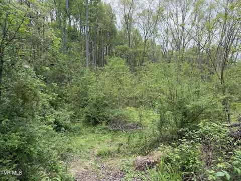 310 Mitchell Court Jonesborough Tn 37659, Jonesborough, TN 37659