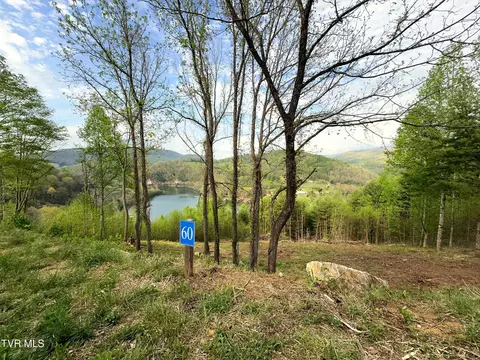 lot60 Cowan Town Road Butler Tn 37640, Butler, TN 37640
