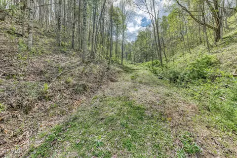 tbd T Greer Road Mountain City Tn 37683, Mountain City, TN 37683
