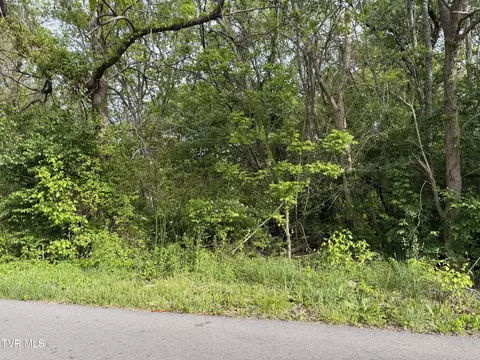 tbd Reedy Creek Road Kingsport Tn 37664, Kingsport, TN 37664