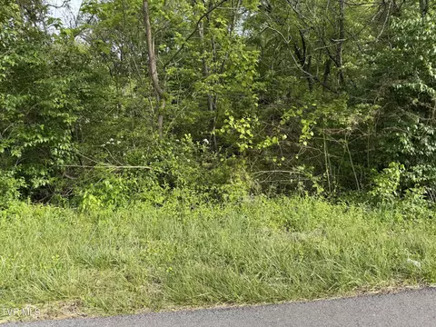 1725 Reedy Creek Road Kingsport Tn 37664, Kingsport, TN 37664