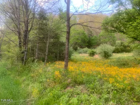 tbd Osborne Ridge Road Dungannon Va 24245, Dungannon, VA 24245
