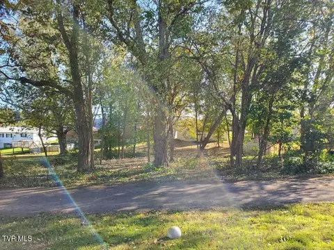 0 E Iris Street Mosheim Tn 37818, Mosheim, TN 37818 photo 3