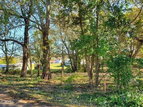 0 E Iris Street Mosheim Tn 37818, Mosheim, TN 37818 photo 4