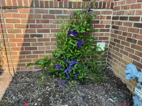 Exterior - 179 Cloverleaf Drive Bristol Va 24202, Bristol, VA 24202 photo 8 of 8