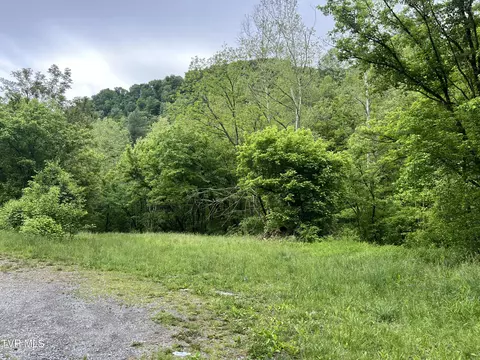tbd Mill Creek Road Fort Blackmore Va 24250, Fort Blackmore, VA 24250