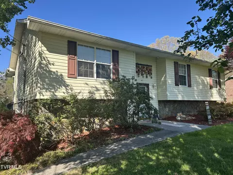 163 Austin Drive Rogersville Tn 37857, Rogersville, TN 37857