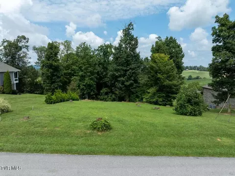 lot4 Hales Chapel Road Gray Tn 37615, Gray, TN 37615