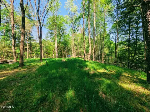 tbd Leaf Ridge Clintwood Va 24228, Clintwood, VA 24228