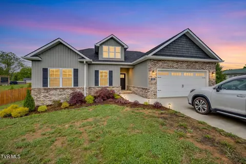 225 Old Stage Road Johnson City Tn 37615, Johnson City, TN 37615