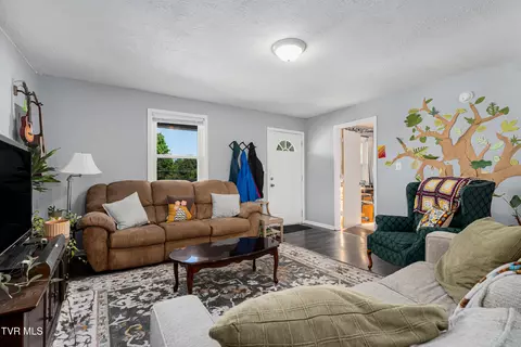 Living - 304 E Chestnut Street Johnson City Tn 37601, Johnson City, TN 37601 photo 2 of 2