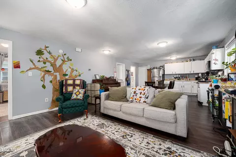 Other - 304 E Chestnut Street Johnson City Tn 37601, Johnson City, TN 37601 photo 1 of 5