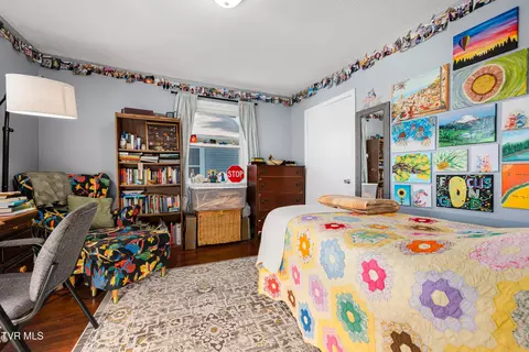Bedroom - 304 E Chestnut Street Johnson City Tn 37601, Johnson City, TN 37601 photo 3 of 4